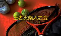 王者火柴人之战